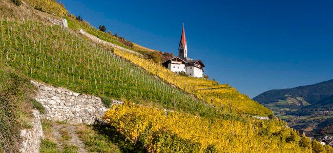 Report: i vini dell'Alto Adige