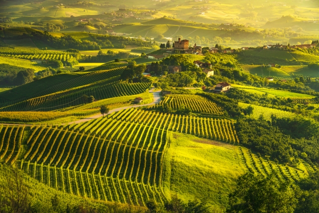 Corso sommelier secondo livello AIS Piemonte hero
