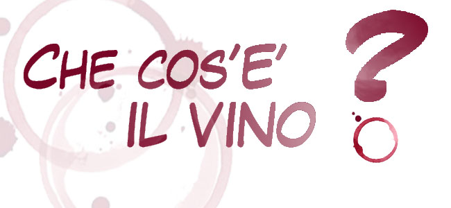 Concorso fotografico 2013: cos’è il vino?