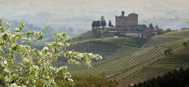 Master sui Territori del Nebbiolo: 2 dicembre