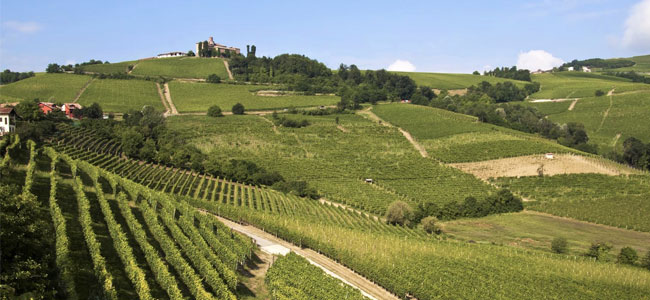 Presentazione dell’annata 2014 del Barolo Docg di Cherasco Cru Mantoetto: 12 e 20 maggio