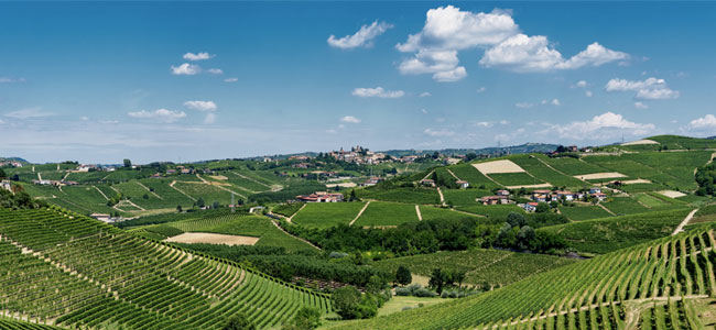 Primo Master sui territori del Nebbiolo: Barbaresco e Roero