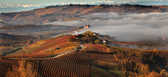 Report: Castiglione Faletto – Terre del Barolo