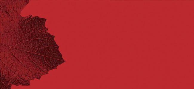Taste Alto Piemonte 2019