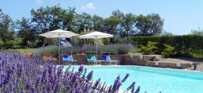 The Tasting Pool 2017