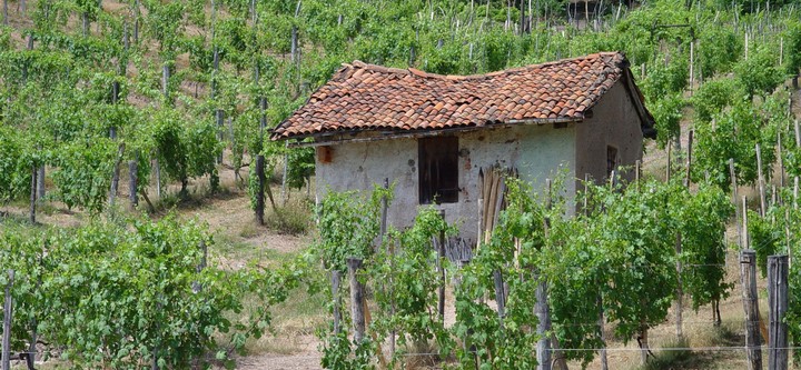 Un Alto modo di bere Piemonte