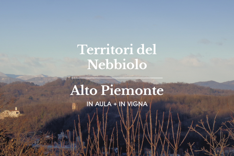master-nebbiolo_sito